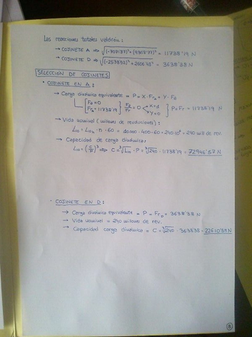 Foto 19-04-14 11 53 27.jpg