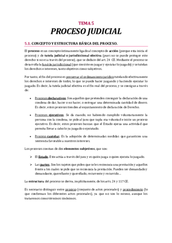 TEMA-5-PROCESO-JUDICIAL-PROCESAL.pdf