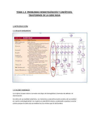 TEMA-1.2..pdf