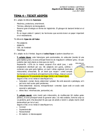 REGULACIO2n-PARCIAL.pdf