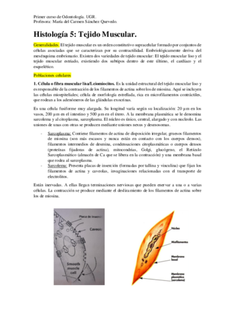 Histologia-5.pdf