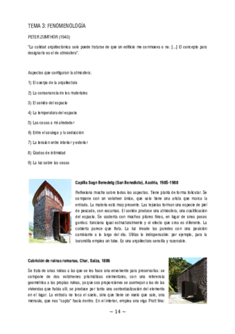 TEMA-3-Fenomenologia.pdf