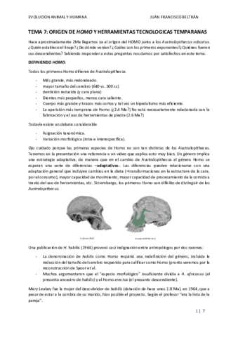 TEMA-7.pdf