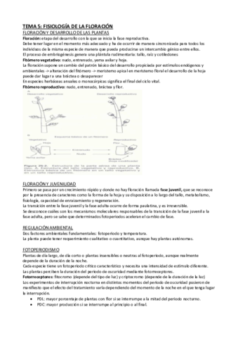 Tema-5-HCO.pdf