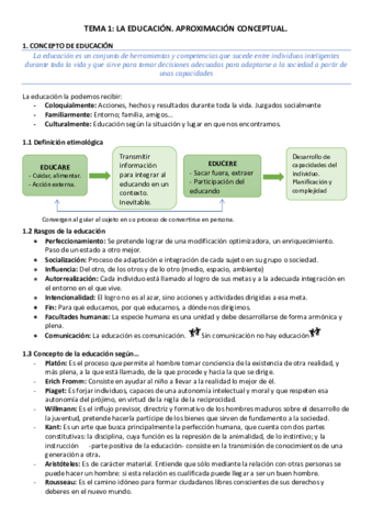 TEMA-1-ECSI.pdf