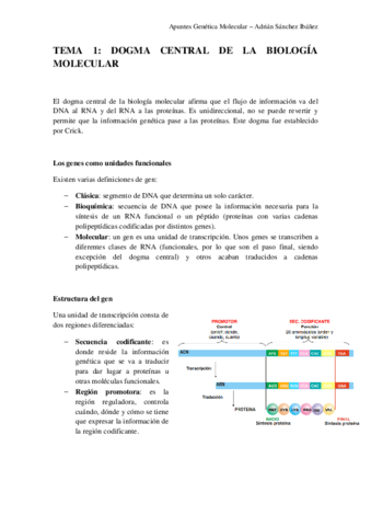 TEMA-1-Genetica-molecular.pdf