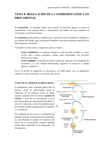 TEMA-8-Genetica-molecular.pdf