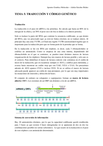 TEMA-5-Genetica-molecular.pdf