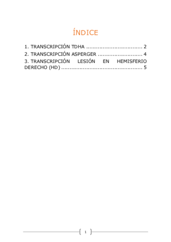 transcripciones.pdf