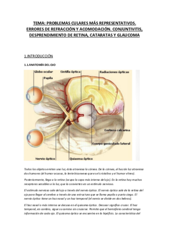 TEMA-2.-.pdf