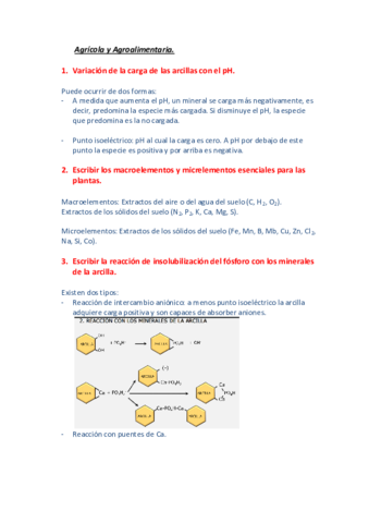 Preguntas-de-examen-resueltas.pdf