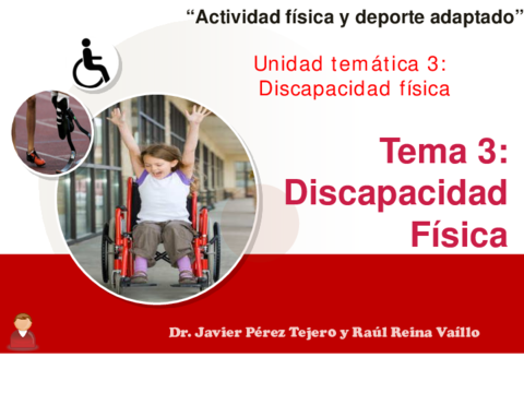 Tema-2-Discapacidad-Fisica-18.pdf
