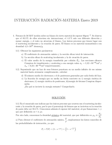 IRM-Enero-2019-soluciones.pdf
