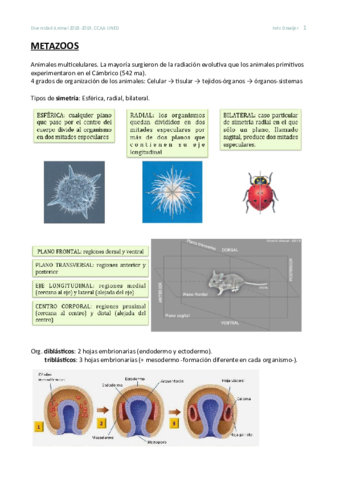 Resumen-Diversidad-Animal.pdf