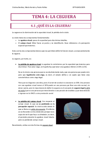 TEMA-4.pdf