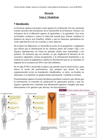 Tema-2.pdf