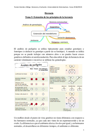 Tema-5.pdf
