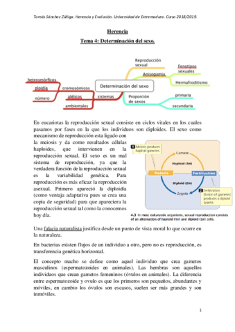 Tema-4.pdf