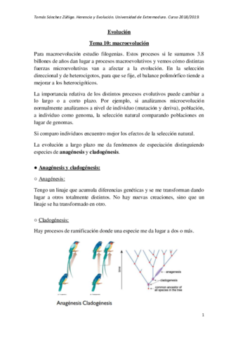 TEMA-10-evo.pdf