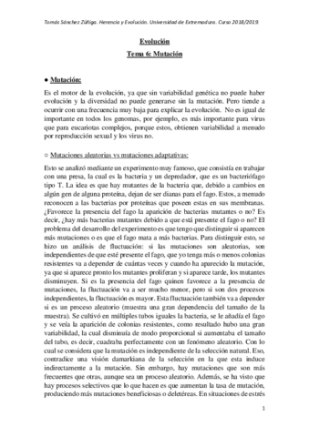 Tema-6-evolucion.pdf