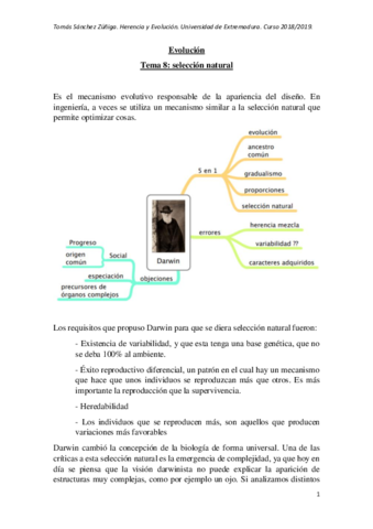 Tema-8-evolucion.pdf