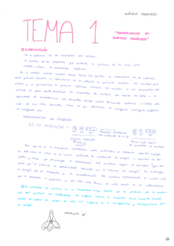Tema-1-QORG.pdf