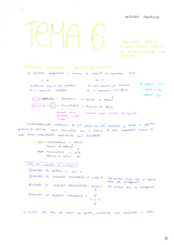 Tema-6-QORG.pdf