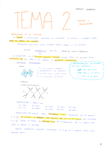 Tema-2-QORG.pdf