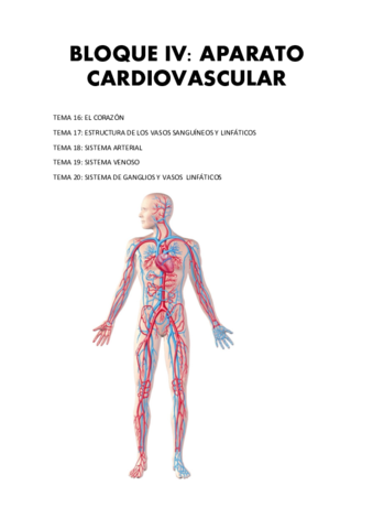 Anatomia-APARATO-CARDIOVASCULAR.pdf