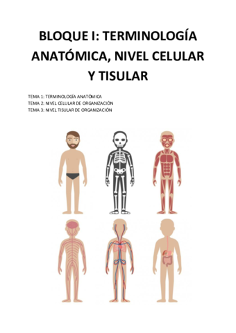 Anatomia-TERMINOLOGIA-ANATOMICA-NIVEL-CELULAR-Y-TISULAR.pdf