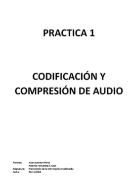 Practica 1.pdf