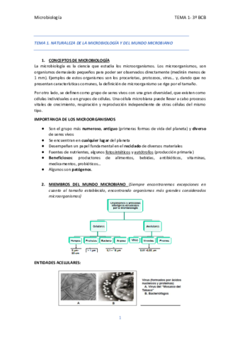Tema-1-Micro.pdf