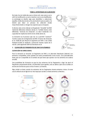 tena-6.pdf