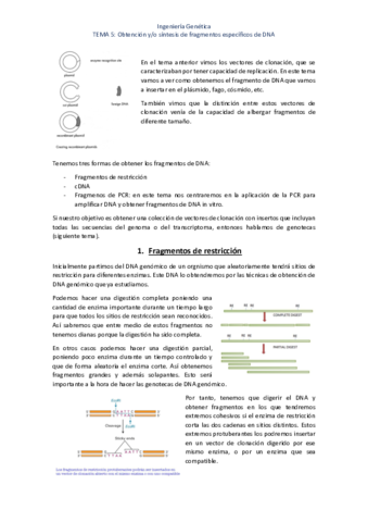 TEMA-5-ig.pdf