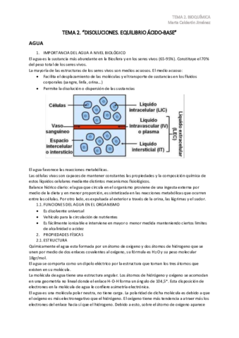 TEMA-2.pdf