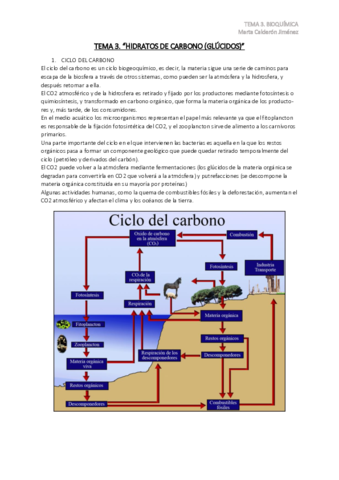 TEMA-3.pdf