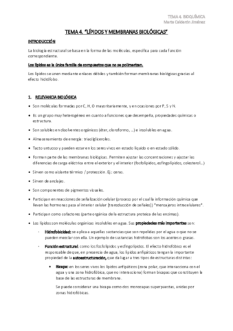 TEMA-4.pdf