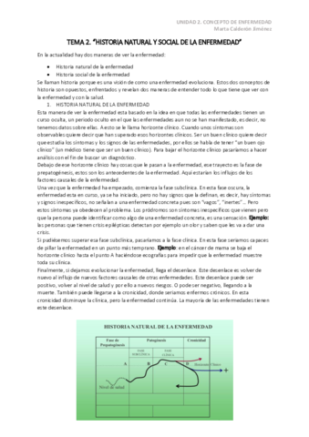 TEMA-2.pdf