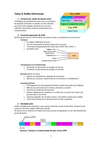 Tema 3.pdf