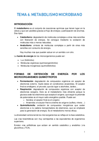 TEMA-6.pdf