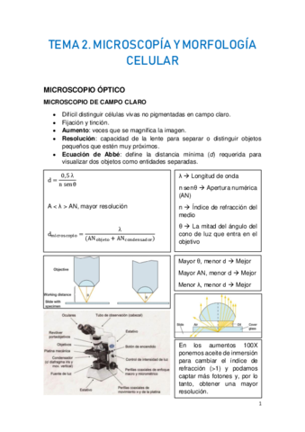 TEMA-2.pdf