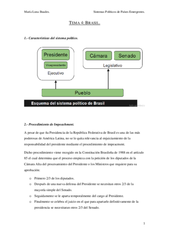 Preguntas-Brasil.pdf