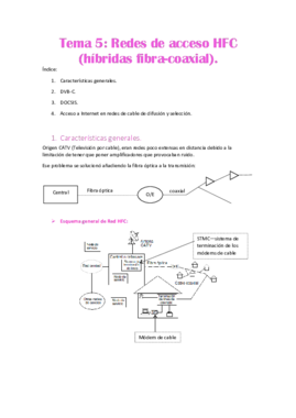 Tema 5 PDF.pdf