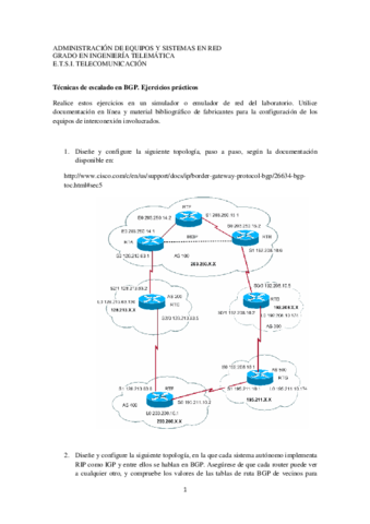 6. Tecnicas de escalado BGP.pdf