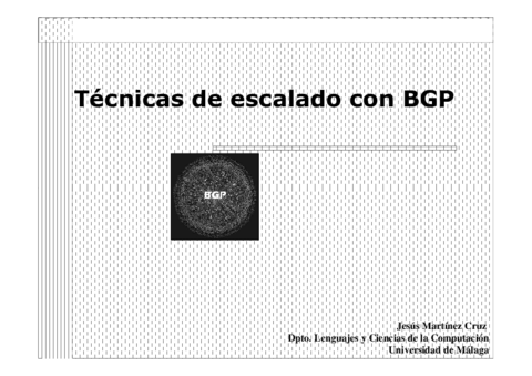 BGP_2.pdf