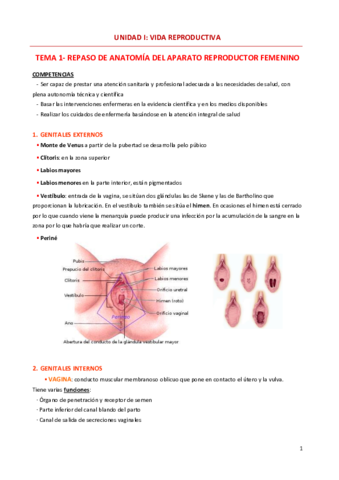 TEMA-1-repaso-de-anatomia-del-aparato-reproductor-femenino.pdf