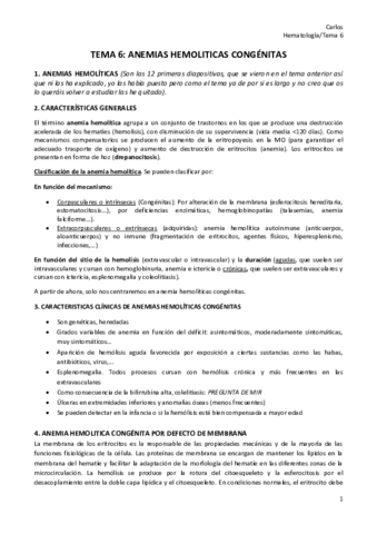 Tema-6.pdf