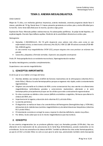 Tema-3.pdf