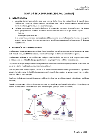 TEMA-16-LEUCEMIA-MIELOIDE-AGUDA.pdf