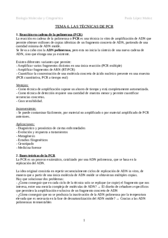 Tema-6.pdf